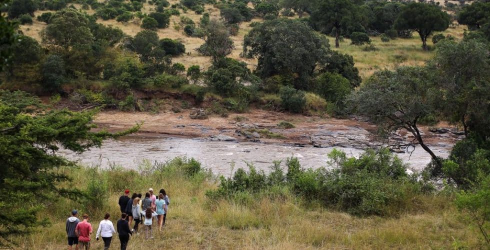 walking safaris