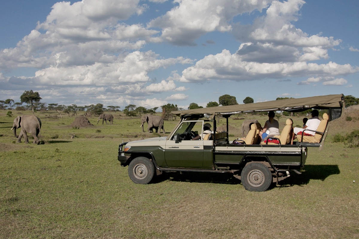 game drives