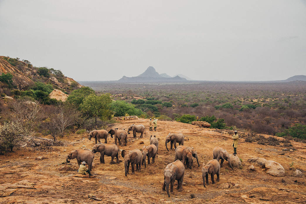 Ithumba Reintegration unit