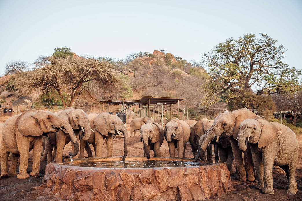 Ithumba Reintegration Unit Kenya