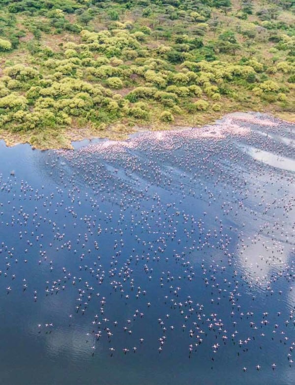 lake bogoria