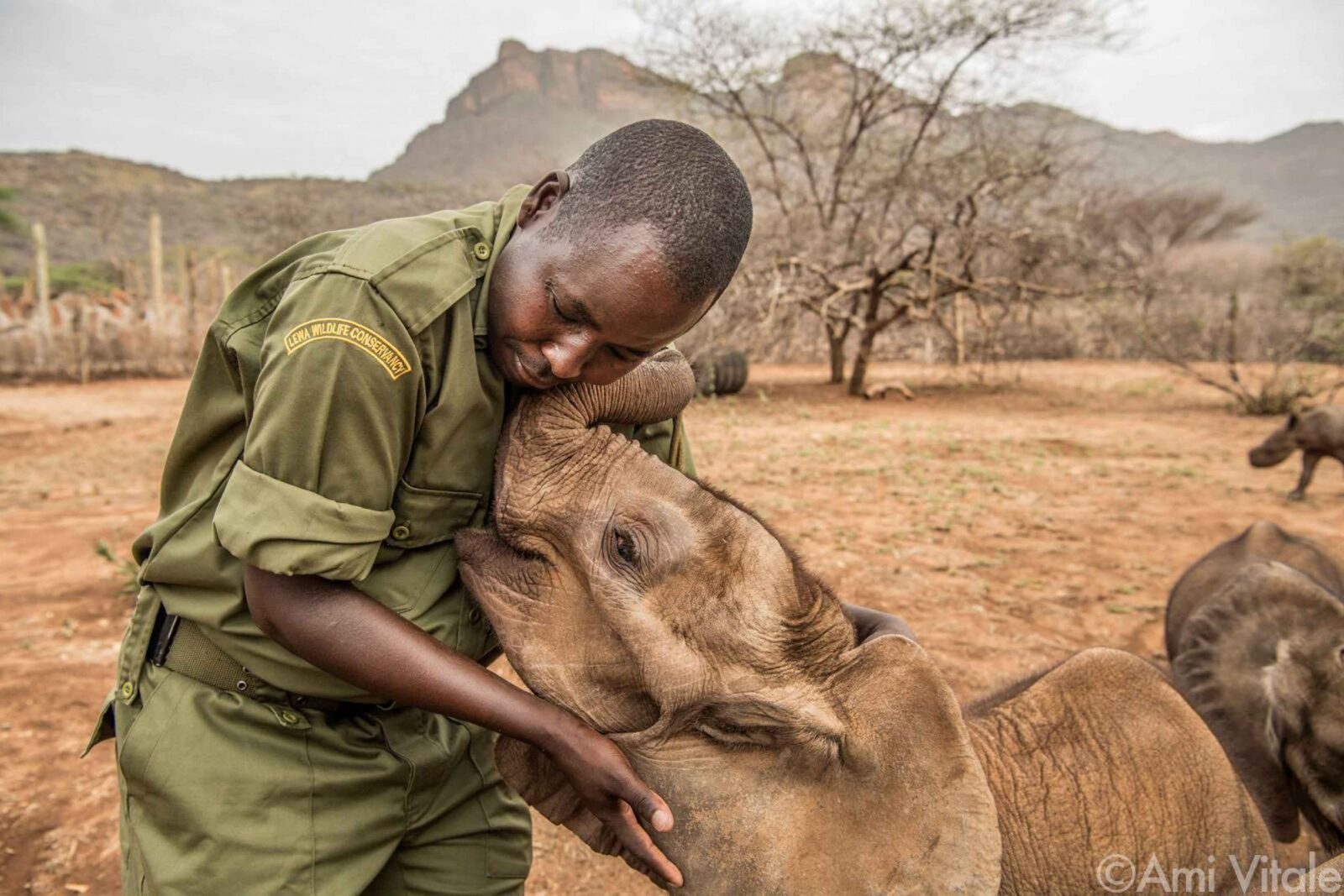 Elephant sanctuary visit