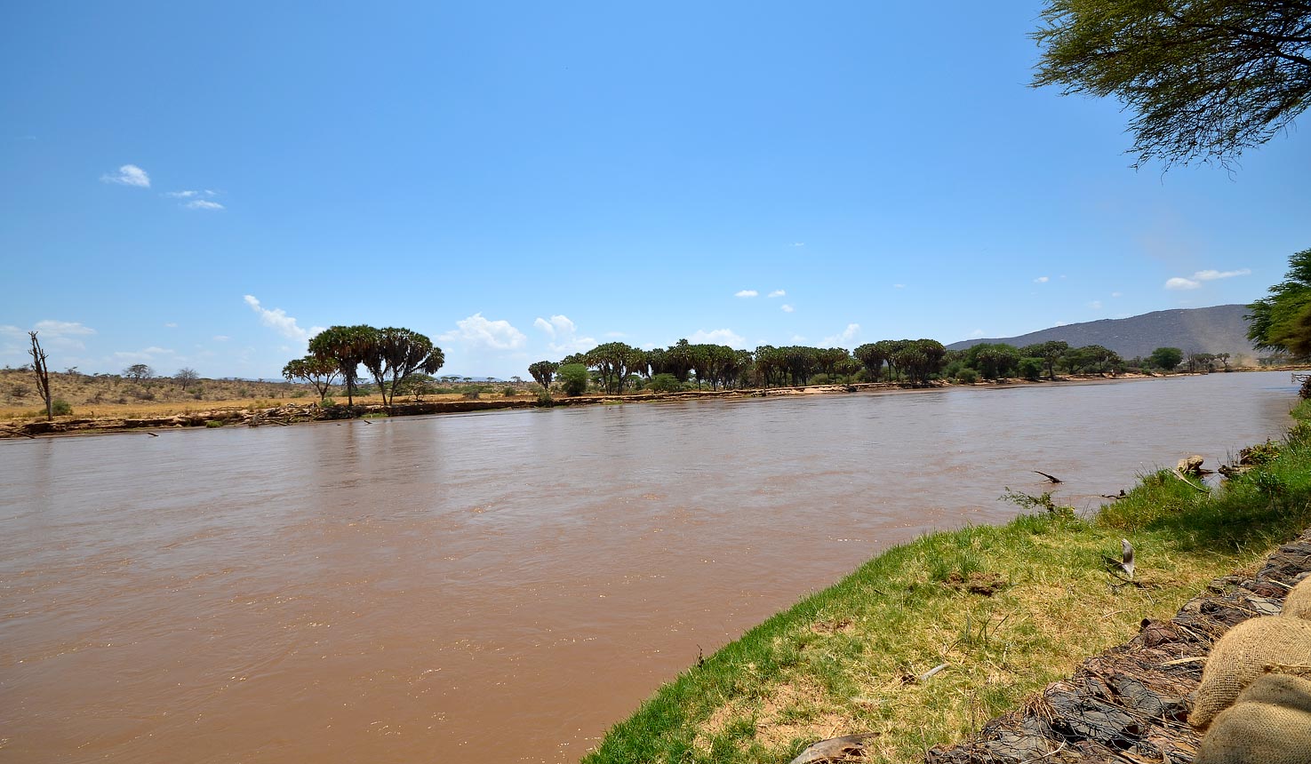 samburu National reserve