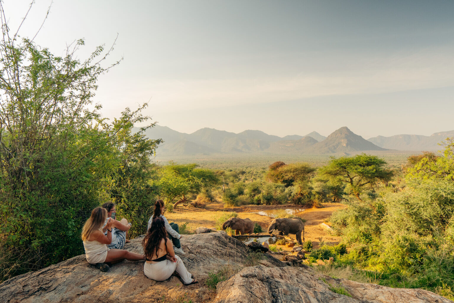 Safari activities