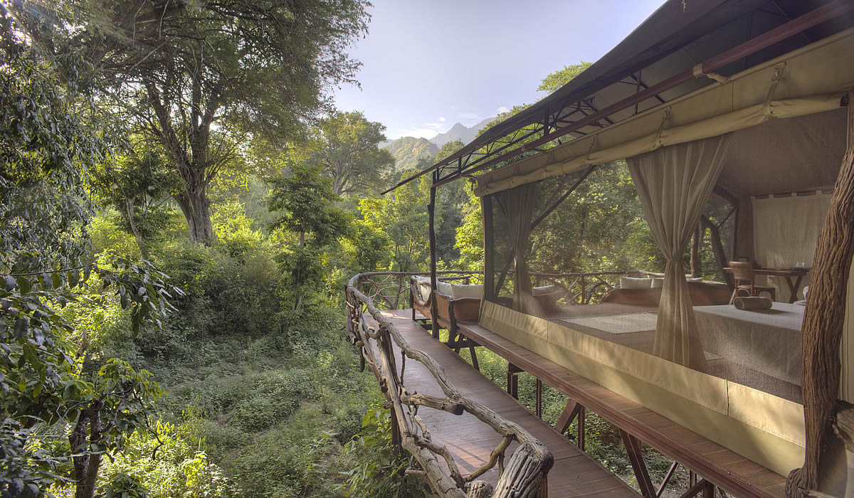 Sarara treeehouses samburu