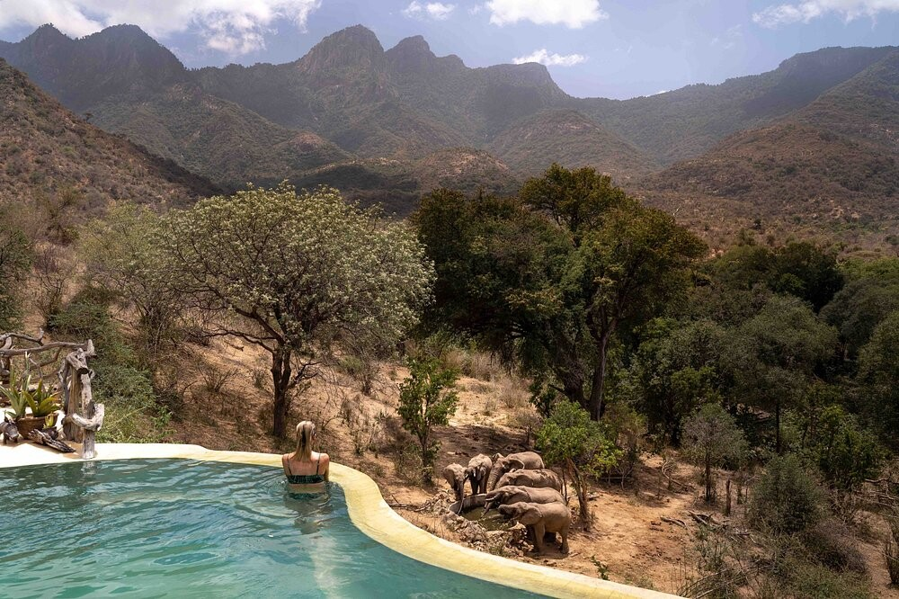 View of the waterhole from the pool