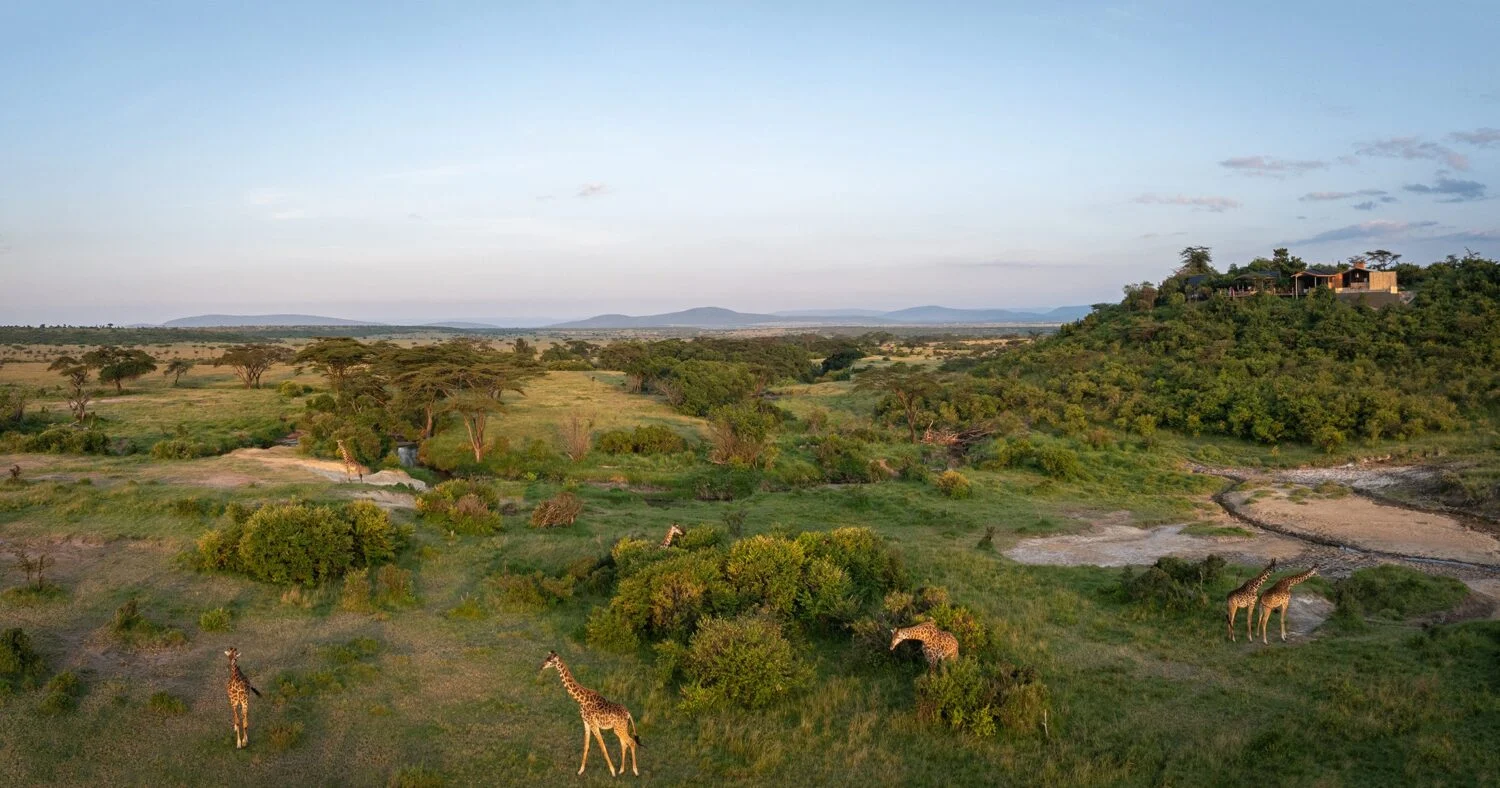 basecamp eagle view