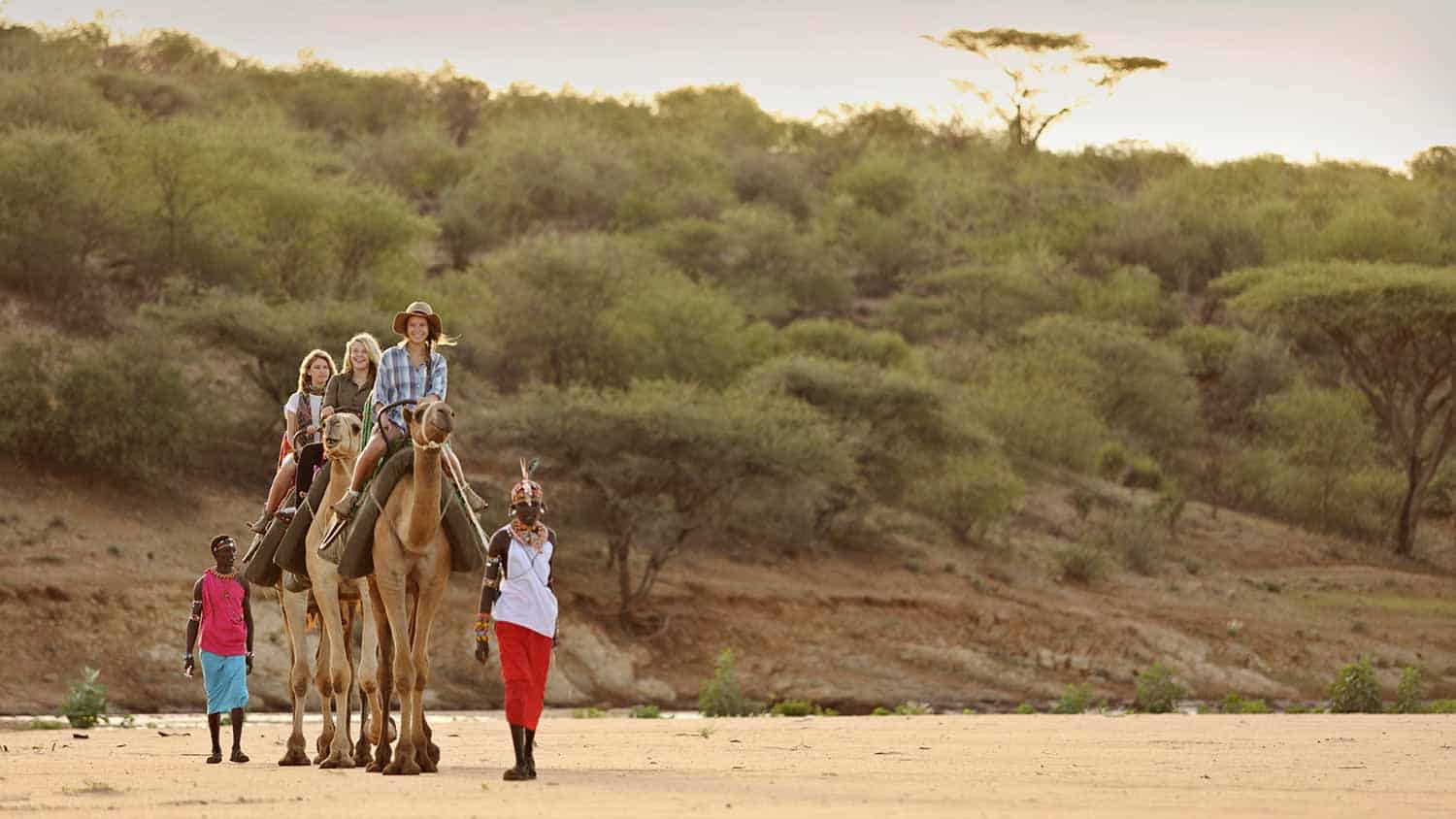 camel rides