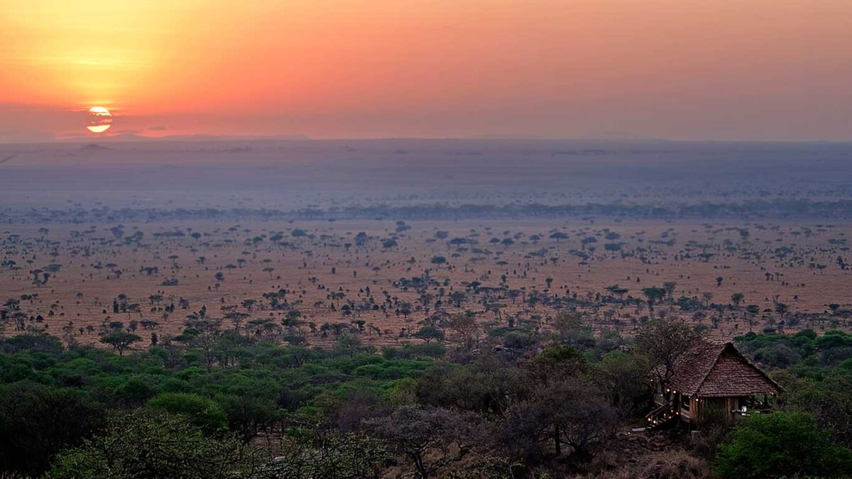 The Best Migration Cmp in Tanzania