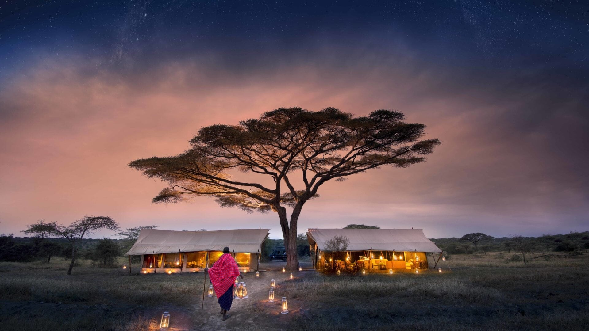 Tents at night