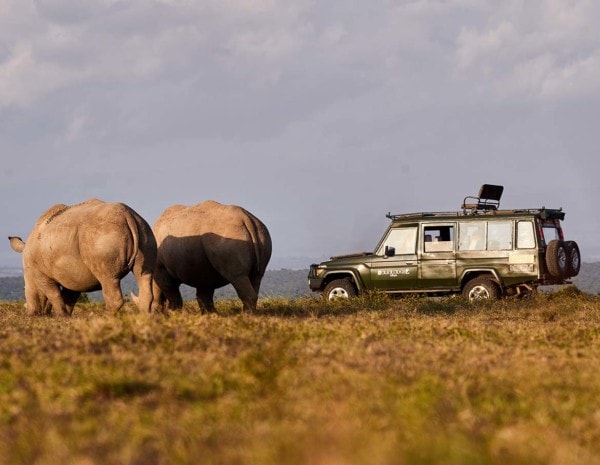 Solio Ranch Rhino Sanctuary