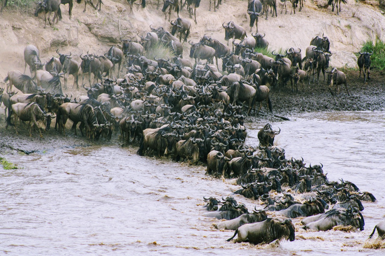 River Crossings