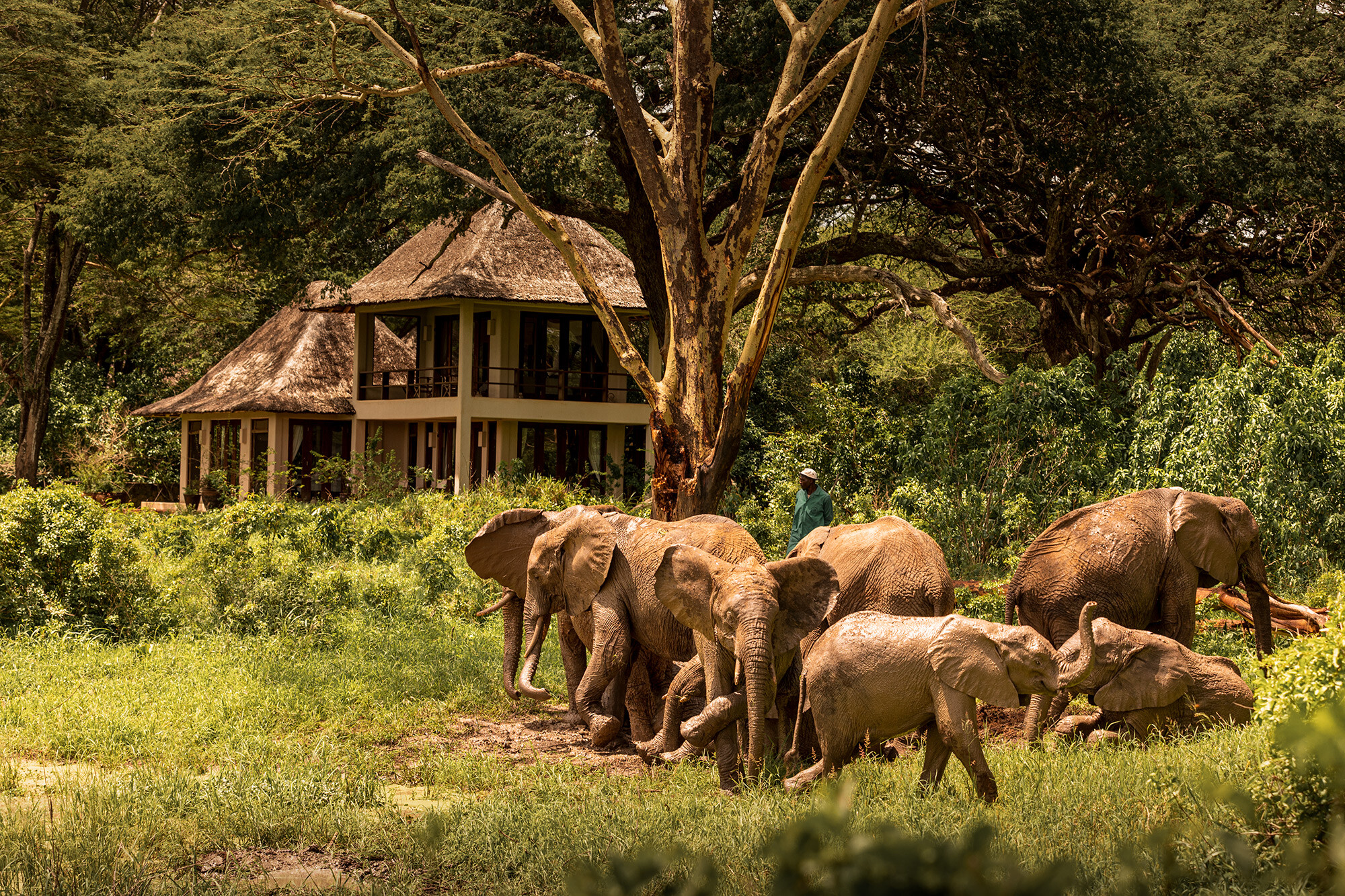 Umani Springs Lodge in Kibwezi Forest