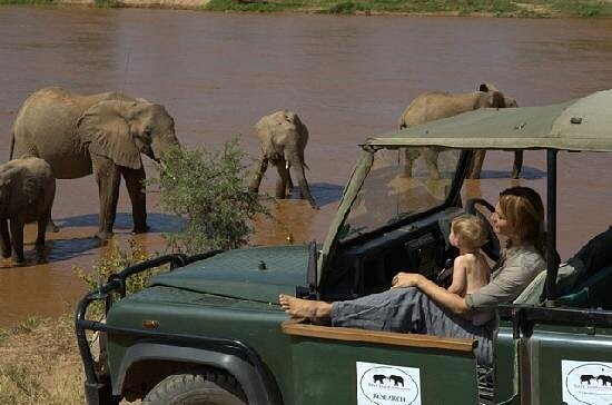 Elephant Watch Safaris Samburu