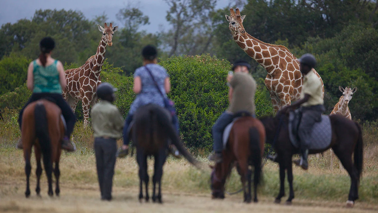 Aberdare Country Club Horseriding Kenya