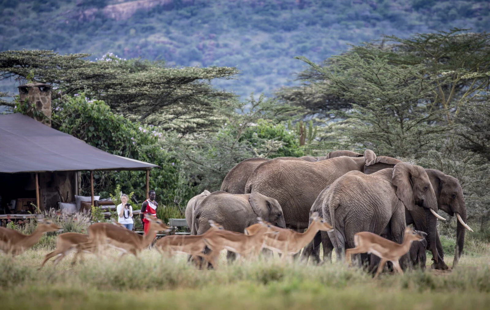 Enasoit Camp an Exclusive Private Luxury Camp in laikipia Kenya