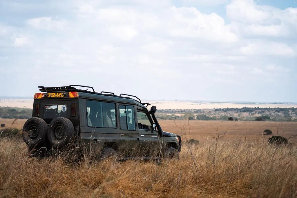 Game drives