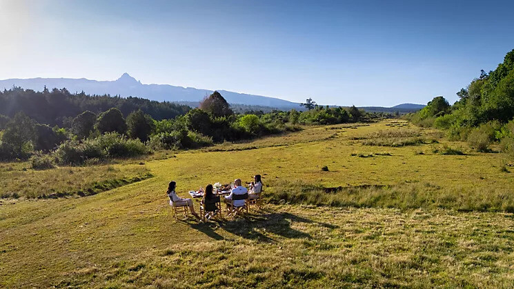 Meeting and Conferences