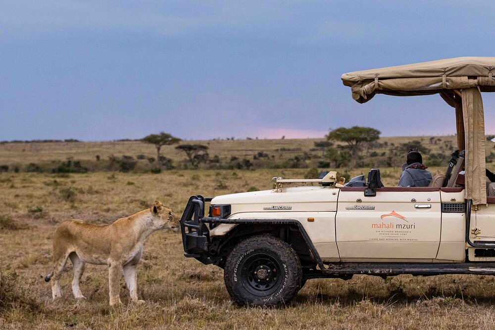 Game Drives
