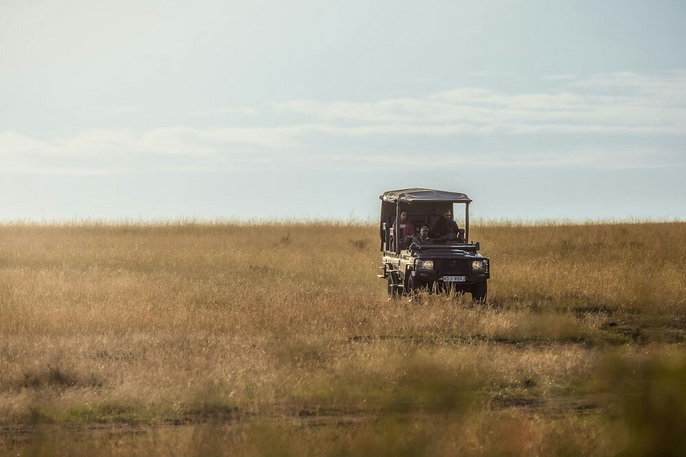 game drives