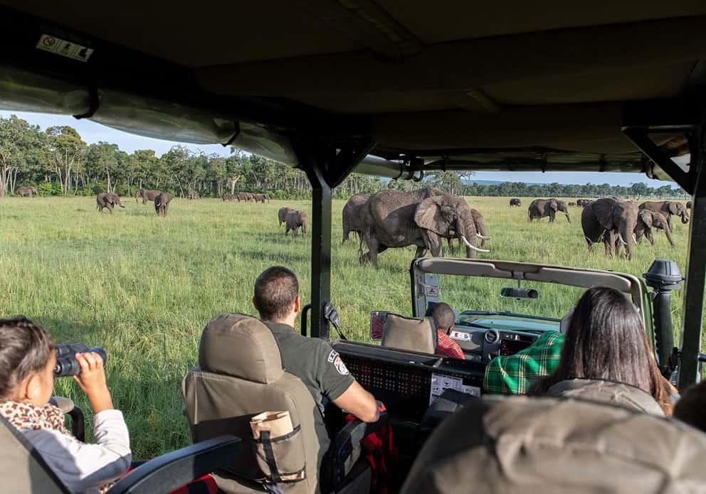 Governors’ Camp is Africa’s first permanent luxury tented camp, remaining in its original site since 1972