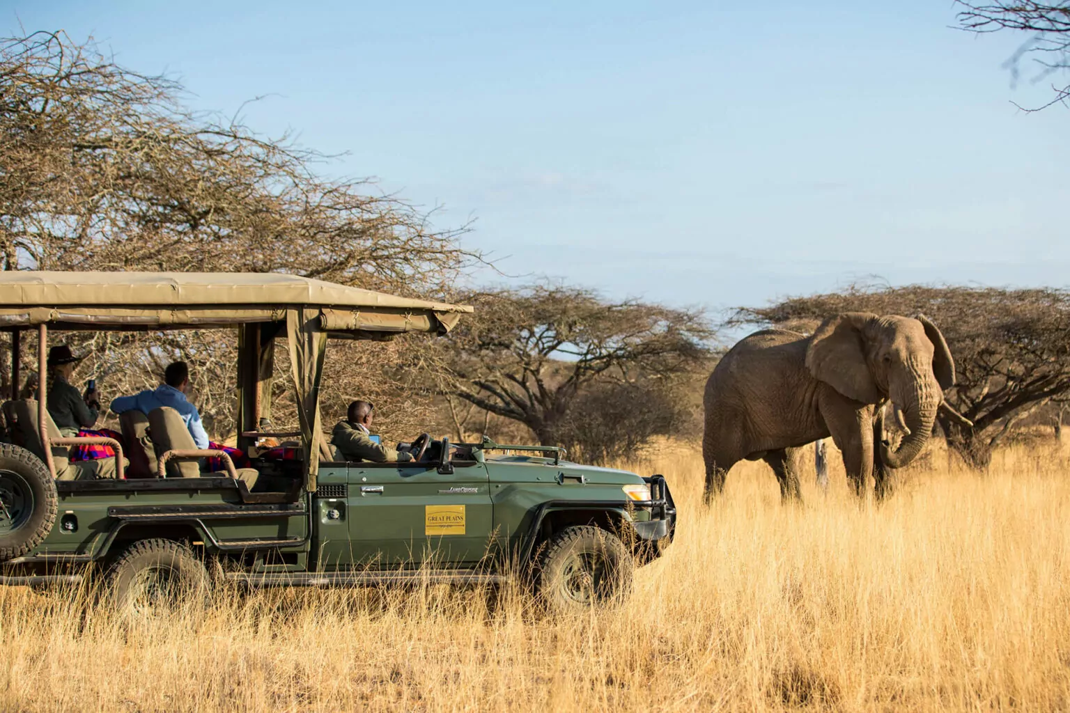 game drives