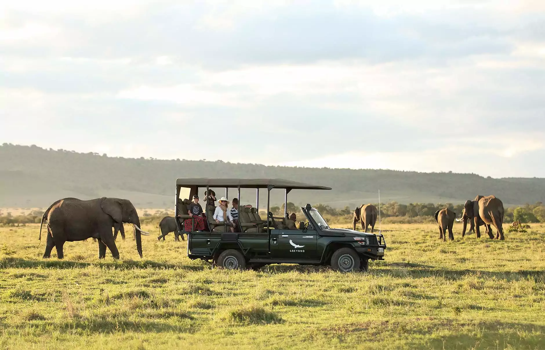 game drives