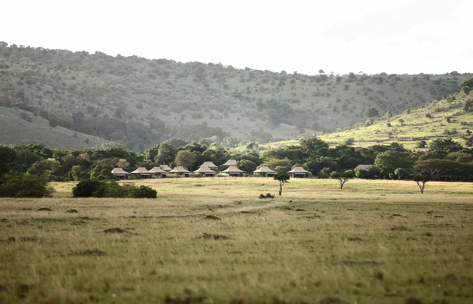 Kichwa Tembo Tented Camp,Masai Mara