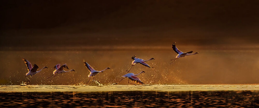 A visit to Lake Magadi