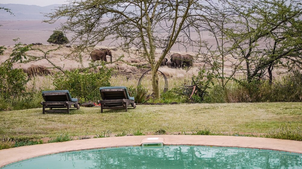 lewa house Safaris