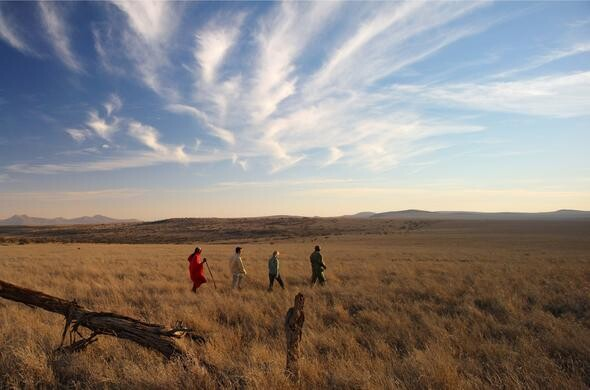 ewa Safari Camp - Kenya Lewa Wildlife Conservancy (Location)
