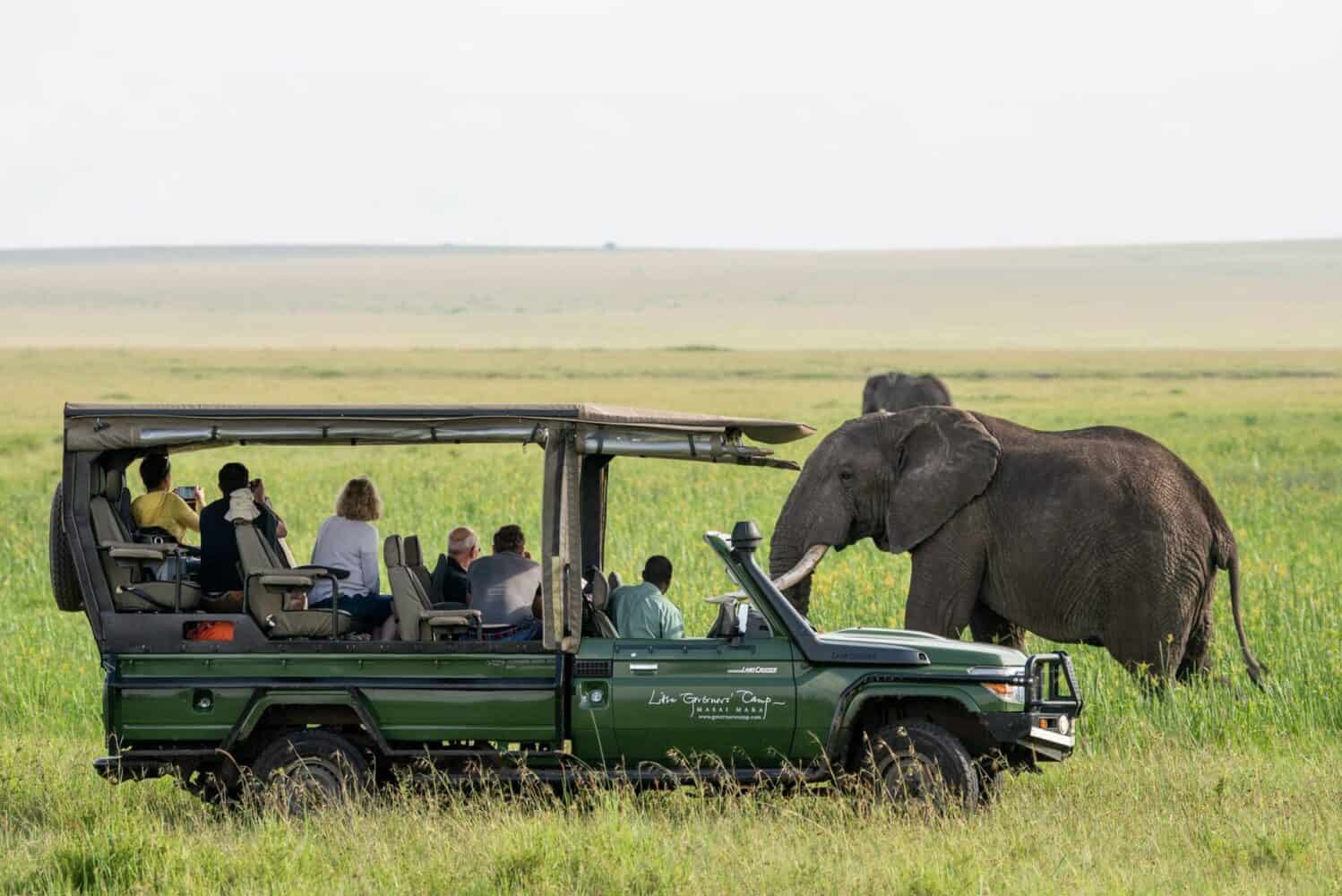 governors camp safari