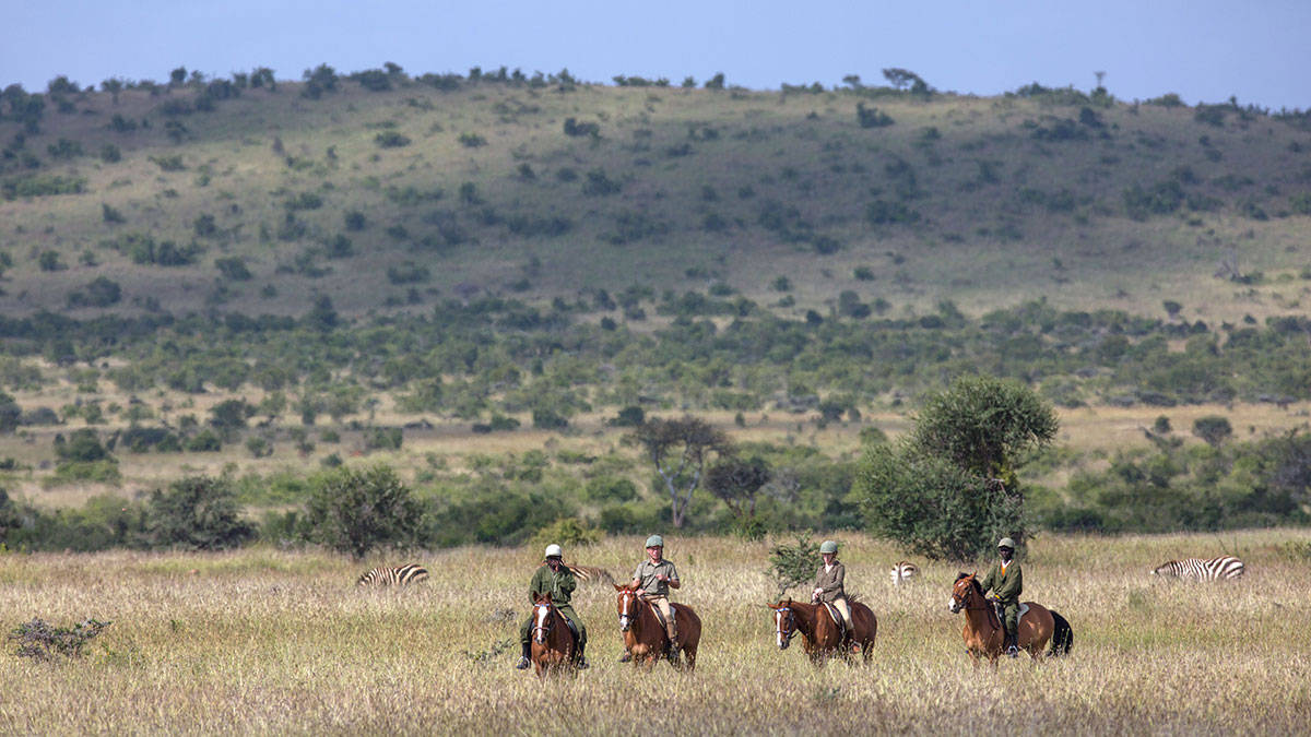 loisaba conservancy activities