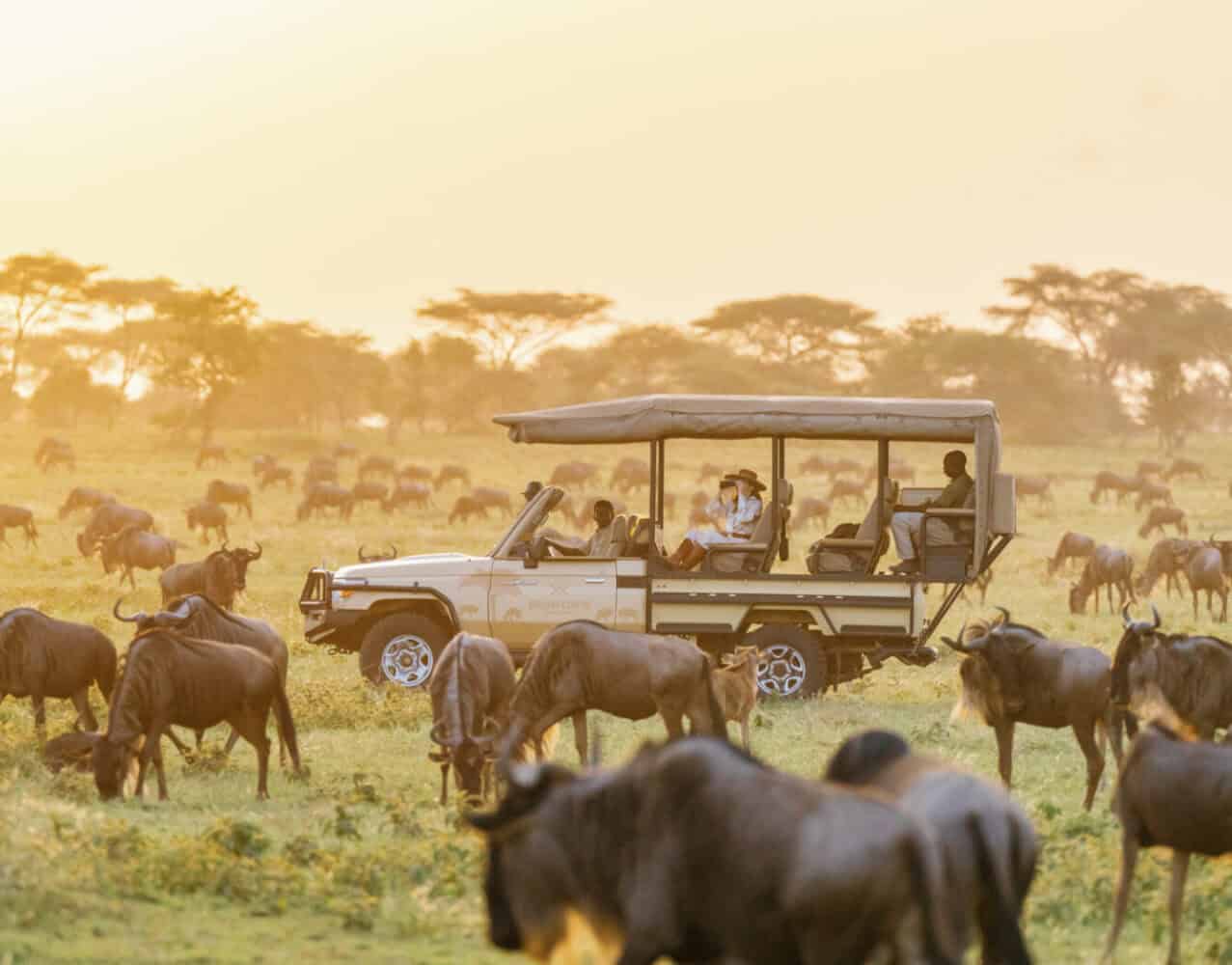 Mara Bushtops Safari Package in the Masai Mara