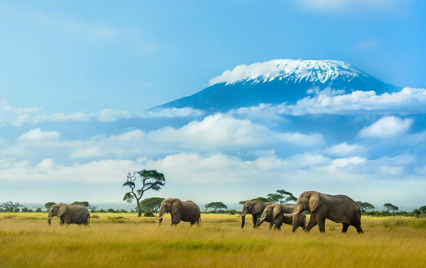 Ol Tukai Lodge Location