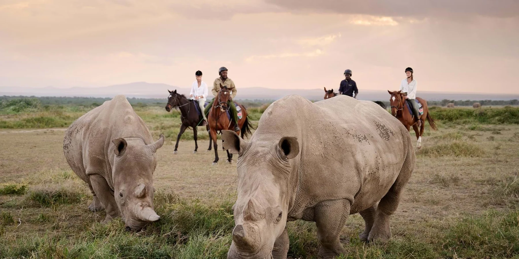 Ol Pejeta Conservancy-Laikipia Kenya