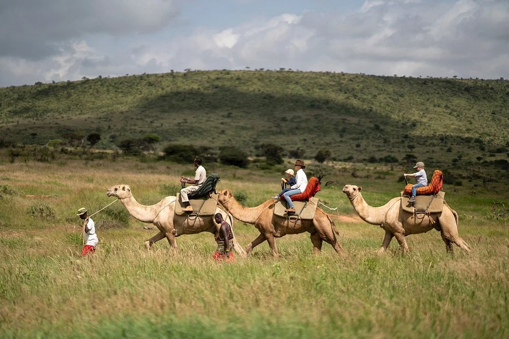 Safari activities