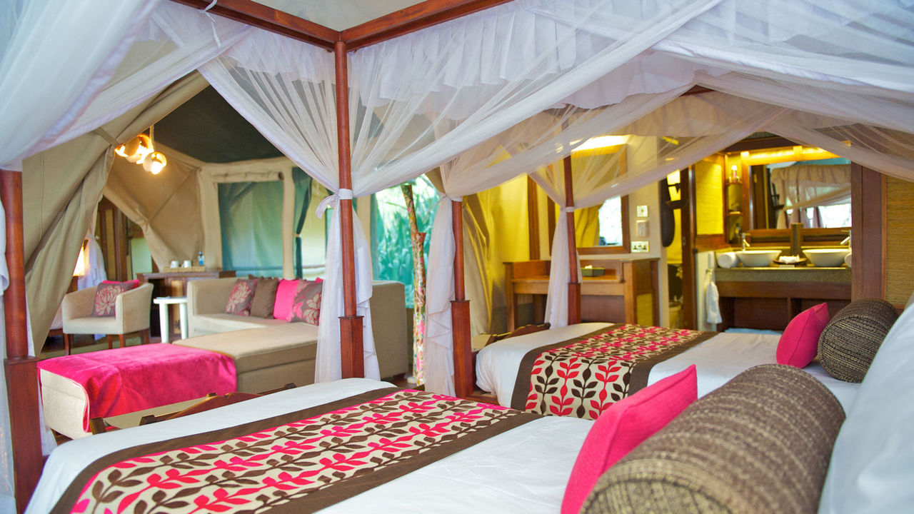 accommodation at Samburu intrepids lodge