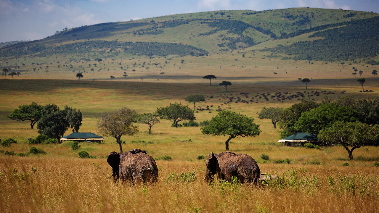 elewana Sand River Camp-Masai Mara