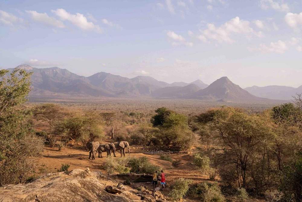 Sarara Safari Experiences