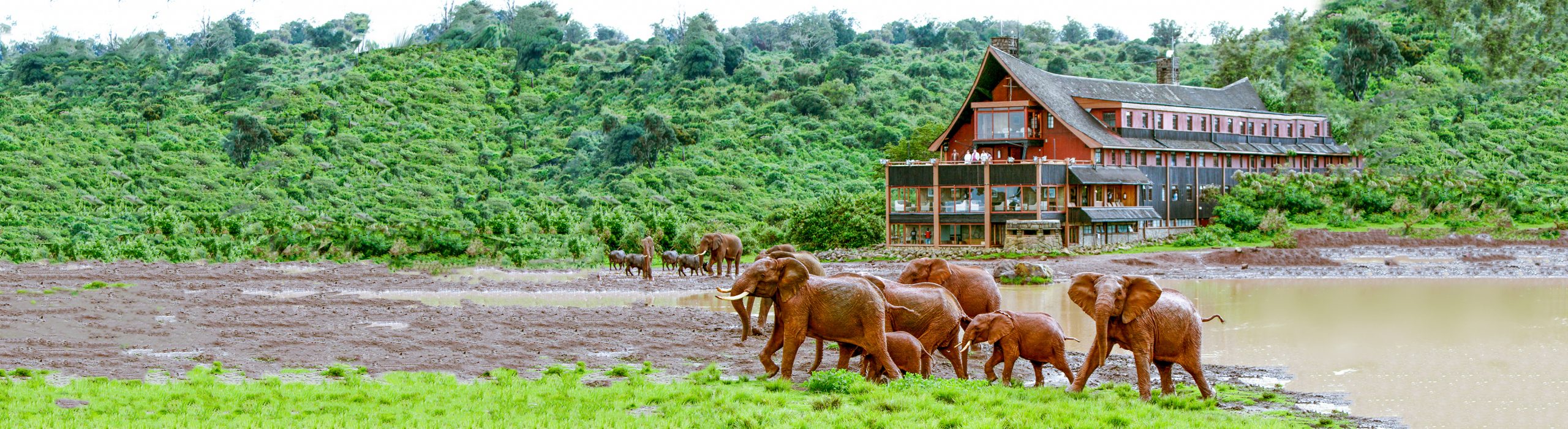 The Ark Lodge Kenya