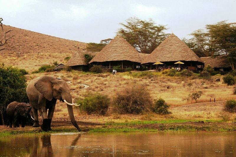 Luxury Eco-Safari with Iconic Kilimanjaro Views