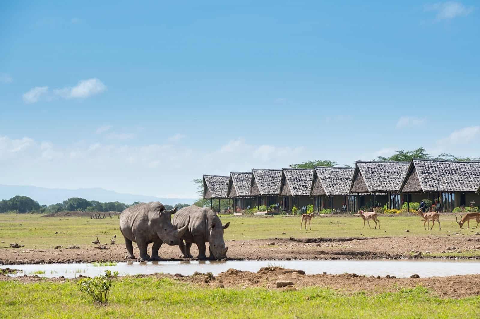 Sweetwaters Serena waterhole