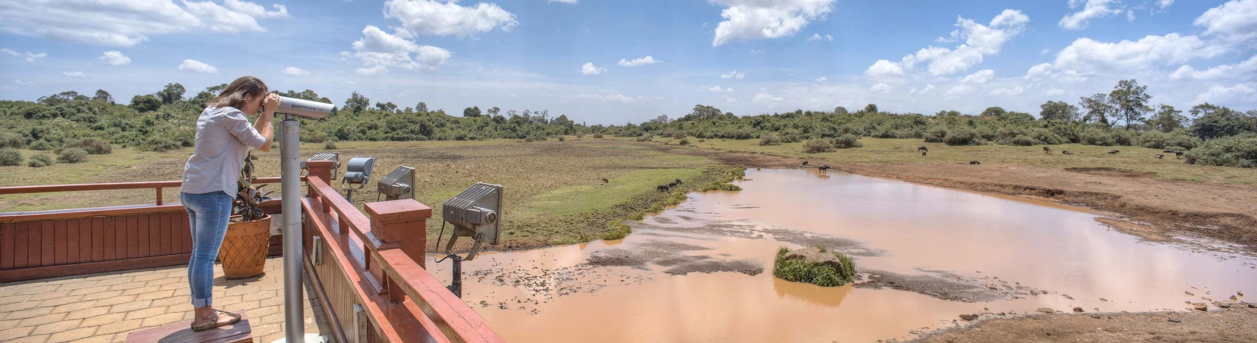 Viewing Deck Scaled 1