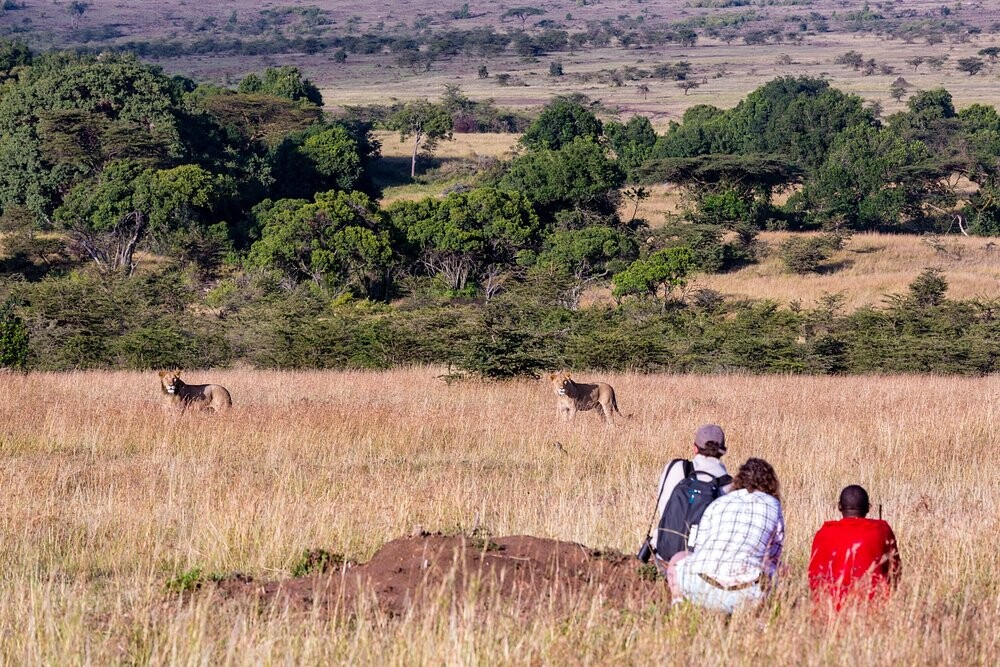 Offbeat Mara Camp Reviews
