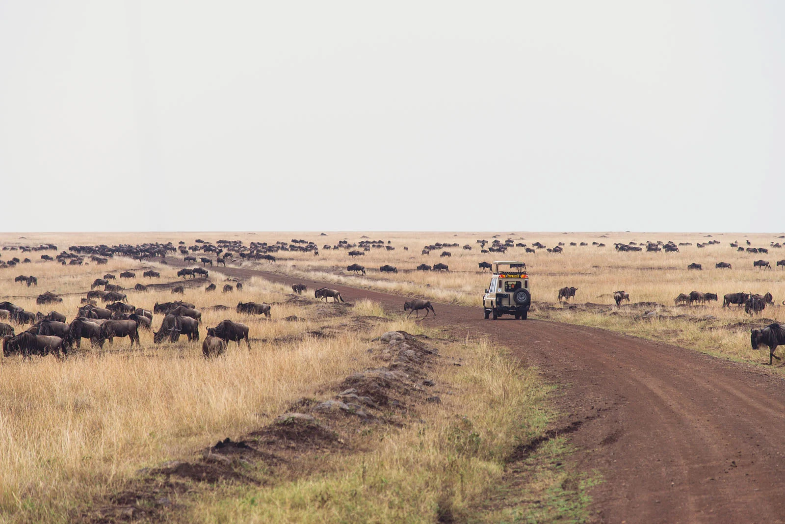 Mara Serena Lodge-Kenya